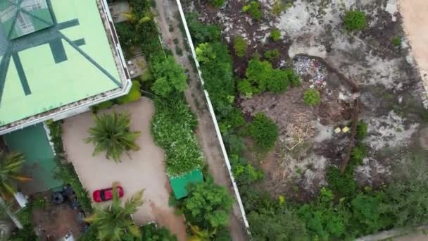 Повітряний Постріл Зеленого Ізальду Зелених Дерев Тропічних Лісів — стокове відео