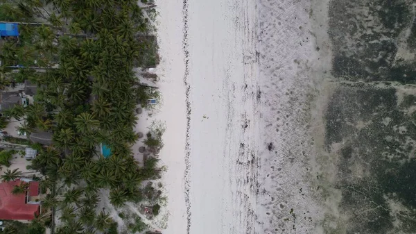 Drone Footage Sea Next Palm Forest — Foto de Stock