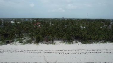 Çimenli kıyı şeridi, dalgalı okyanus.