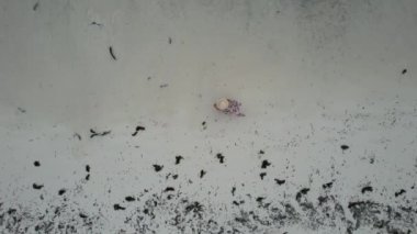 green rocks underneath the sea