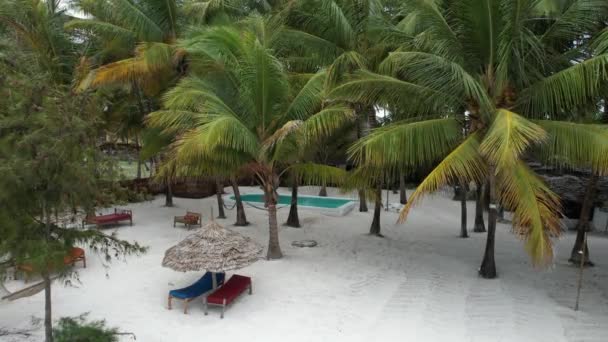 Beach Palm Trees Hotel Resort — Vídeo de Stock