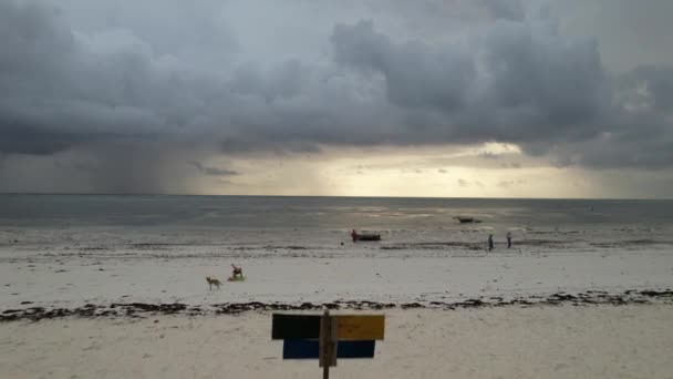 Dark Evening Storm Zanzibar — Stock video