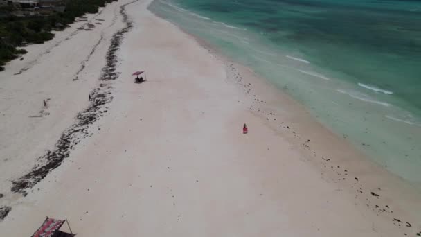 People Relaxing Beach Footage Aerial — 图库视频影像