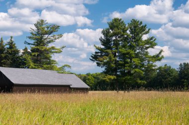 Litchfield 'daki Topsmead Eyalet Ormanı' nda bir çayır. New England 'da güneşli bir yaz günü..