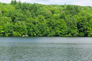 Litchfield County 'de güneşli bir günde Torrington' da Stillwater göleti..  