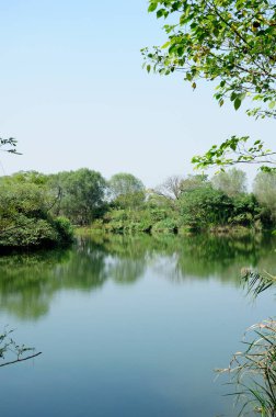 Çin 'in Zhejiang eyaletindeki Hangzhou' da bulunan Xixi sulak arazisinde bunu yansıtan bitki ve ağaçlarla çevrili küçük bir gölet.. 