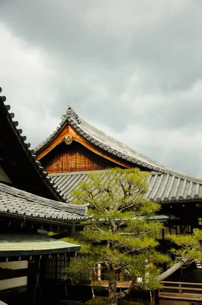 Kyoto 'daki Byodo-in Tapınağı' ndaki çeşitli binalar bulutlu bir günde.