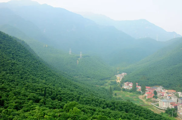 Albero Bambù Coperto Montagne Tianhuangping Villaggio Nella Contea Anji Cina — Foto Stock