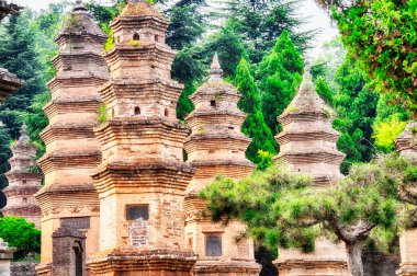 Henan Eyaleti Çin 'in Dengfeng şehrindeki Şaolin Tapınağı yakınlarındaki antik Talin Budist pagoda Ormanı.. 