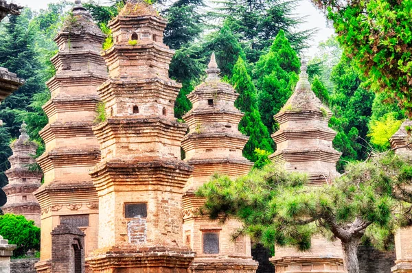 Henan Eyaleti Çin 'in Dengfeng şehrindeki Şaolin Tapınağı yakınlarındaki antik Talin Budist pagoda Ormanı.. 