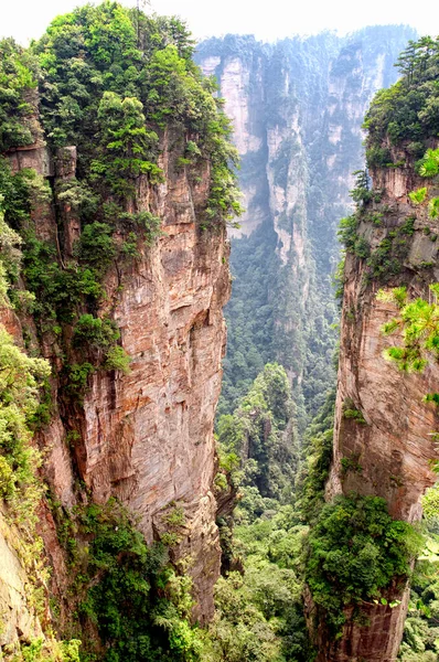 Dramático Paisaje Montañoso Parque Forestal Nacional Zhangjiajie Provincia Hunan China — Foto de Stock