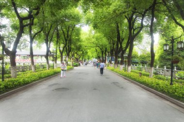 Zhenjiang, Çin. 12 Ağustos 2017. Jiangsu, Çin 'in Zhenjiang bölgesindeki Jinshan Tapınağı' nın manzaralı bölgesinde ağaçların altında yürüyen Çinli turistler.. 