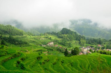 Çin 'in Zhejiang Eyaleti Chaoshan' daki Yunhe ilçesinin Bulut Pirinç terasları içinde bir dizi bina.  