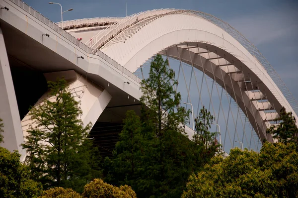 Structure Incurvée Blanche Pont Lupu Sur Rivière Huangpu Shanghai Chine — Photo