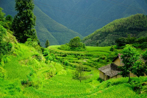 Горы Рисовые Террасы Уезда Юньхэ Вблизи Фермы Расположенной Провинции Чжэцзян — стоковое фото