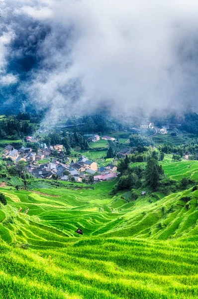 Niebla Que Cuelga Sobre Las Terrazas Arroz Nubes Pequeño Pueblo —  Fotos de Stock