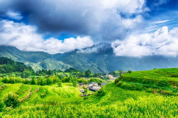 Clouds Hanging Yunhe Cloud Rice Terraces Landscape Summer Zhejiang Province — Stock Photo, Image