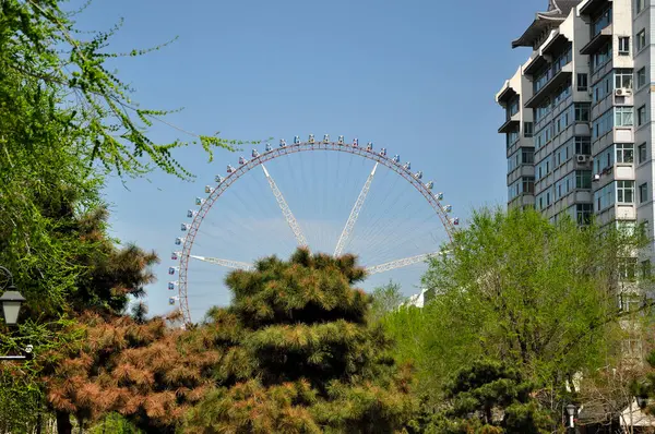 Une Roue Ferris Élevant Dessus Arbre Parc Attractions Harbin Chine — Photo