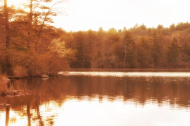 Öğleden sonra, New England 'da bir bahar günü, Torrington' daki Burr Pond Eyalet Parkı 'nda güneş parlıyor..