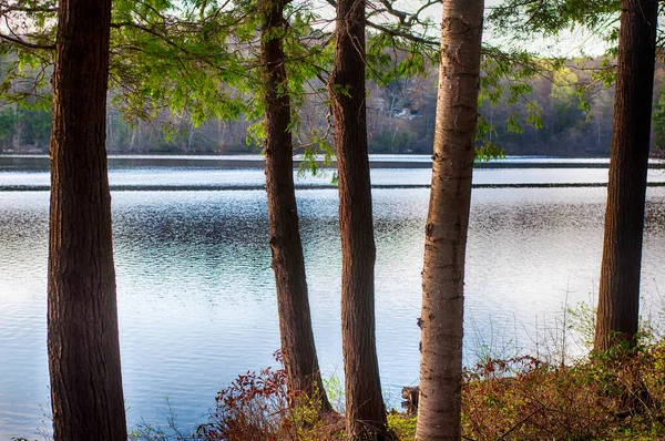 Una Vista Burr Pond Attraverso Gli Alberi Torrington Connecticut Una — Foto Stock