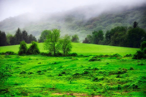 Green Rolling Hills Foggy Sky Tarrywile Park Danbury Connecticut — Stock fotografie