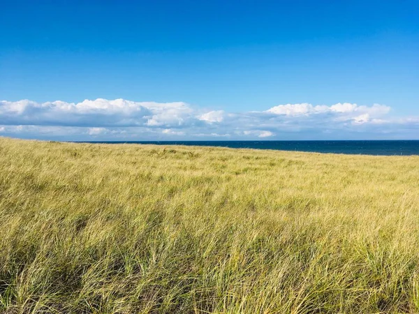 Meadow Grass National Seashore Scenic Area Cape Cod Massachusetts Sunny — 스톡 사진