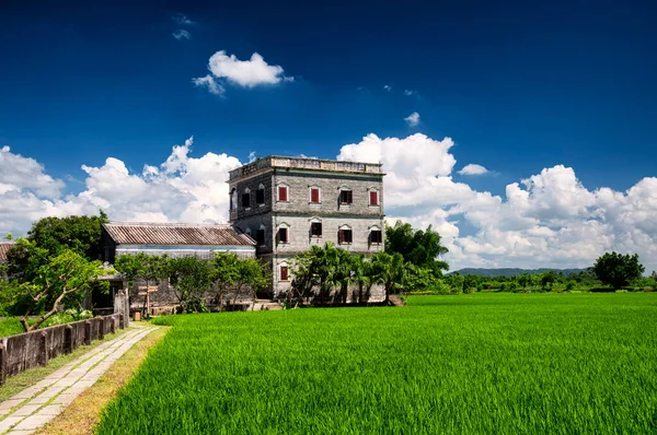Historic Buildings Rice Paddy Kaiping Diaolou Zili Village Kaiping China — Photo