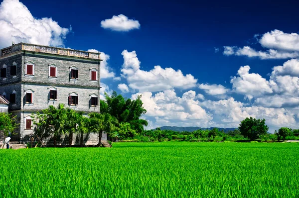 Historic Building Rice Field Kaiping Diaolou Zili Village Kaiping China — Stock Photo, Image