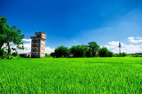 Historic Buildings Kaiping Diaolou Zili Village Kaiping China Guangdong Province — Photo