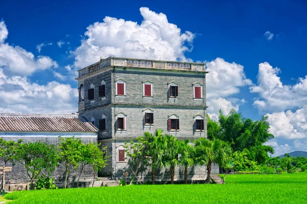 Historic Buildings Kaiping Diaolou Zili Village Kaiping China Guangdong Province — Stock Photo, Image
