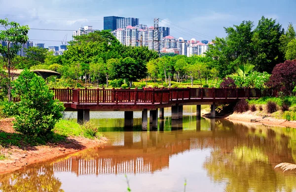 Wooden Bridge Water Futian Mangrove Ecological Park Shenzhen China Sunny — Stock fotografie