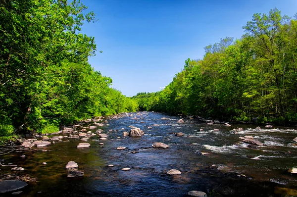 The Farmington River surrounded by trees in Farmington Connecticut on a sunny summer day. 