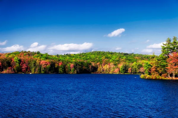 Green Changing Colors Trees Surrounding Blue Waters Burr State Park Stock Fotografie