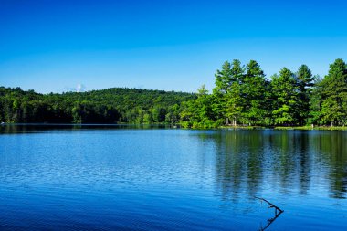 Torrington 'daki Burr Pond Eyalet Parkı' ndaki göl, bir yaz günü.