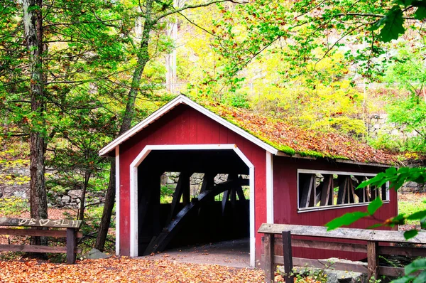 Kırmızı, yeşil ve renk değiştiren ağaçlar Oxford, Connecticut 'ta güneşli bir sonbahar gününde Southford Şelalesi' ndeki köprüyü kaplıyor..