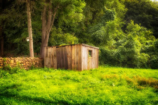 Uma Pequena Cabana Madeira Propriedade Museu Hillstead Farmington Connecticut Condado — Fotografia de Stock