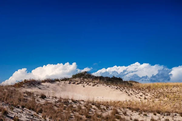 Sand Dunes National Seashore Located Cape Cod Massachusetts Sunny Blue — 스톡 사진