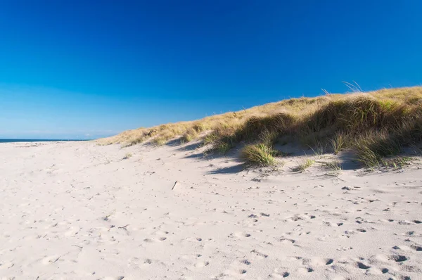 Grass Covered Sand Dunes Leading Race Point Beach Cape Cod — Photo