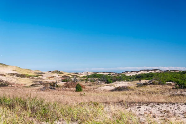 Grass Covered Sand Dunes Leading Race Point Cape Cod National — 스톡 사진
