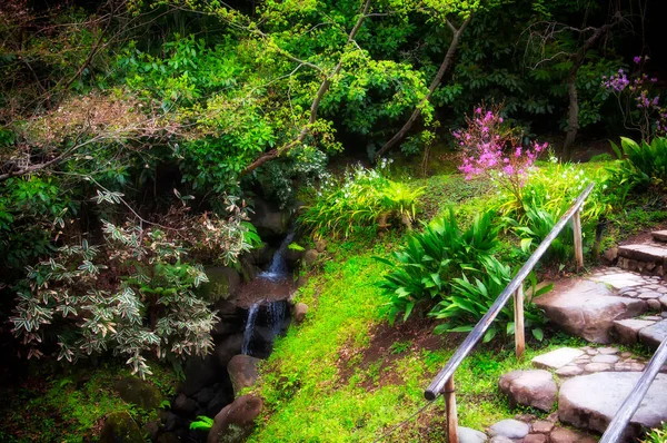 Mały Wodospad Kamienne Schody Sankeien Garden Jokohamie Japonia Pochmurny Dzień — Zdjęcie stockowe