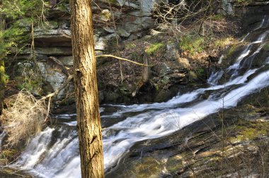 A waterfall flowing through Dean's Ravine located on the Mohawk Trail in Falls Village Connecticut on a spring morning. 
