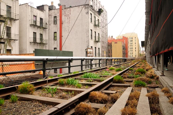 Old Railroad Tracks High Line Park Path Manhattan New York — Stockfoto