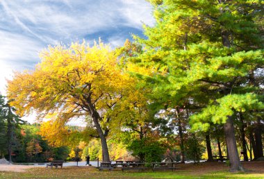 Connecticut 'taki Burr Pond Eyalet Parkı' nın New England 'da sonbahar yeşillik mevsiminde piknik alanı ve suyu..