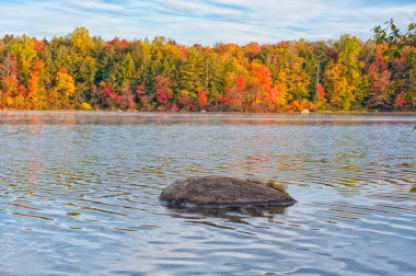 Connecticut 'taki Burr Pond Eyalet Parkı' nın sularından yansıyan renkli yapraklar..