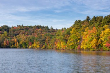 Torrington, Connecticut 'taki Burr Pond Eyalet Parkı' nın sularından yansıyan renkli yapraklar..