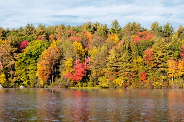 Torrington, Connecticut 'taki Burr Pond Eyalet Parkı' nın sularından yansıyan renkli yapraklar..