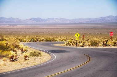 A road within Joshua Tree National Park in cholla garden area of Pinto Basin in sunny california.