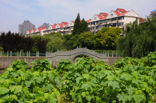 Bridge Water Generic Vegetation Foreground Apartments Background Shanghai China — Photo