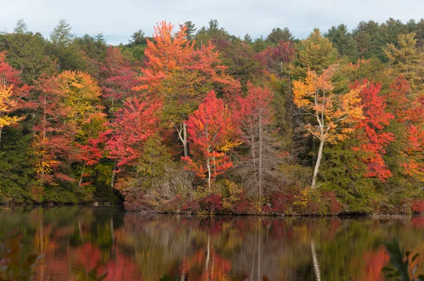 Fall Foliage Burr Pond State Park Torrington Connecticut New England — Photo