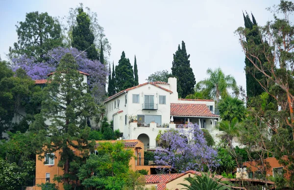 Expensive Homes Los Angeles Hills Overlooking Hollywood Area City Surrounded — Stok fotoğraf